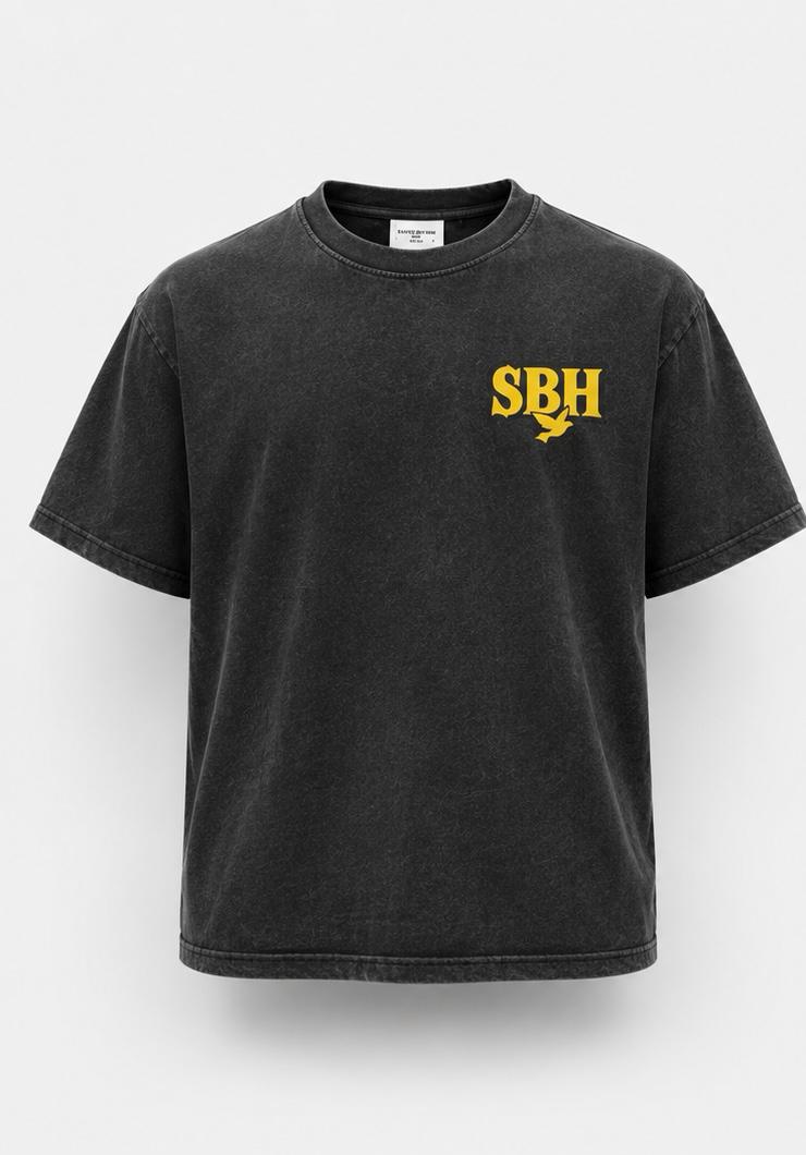 SBH 002